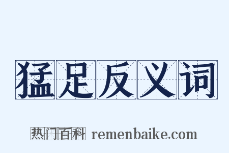 猛足反义词是什么意思的图片